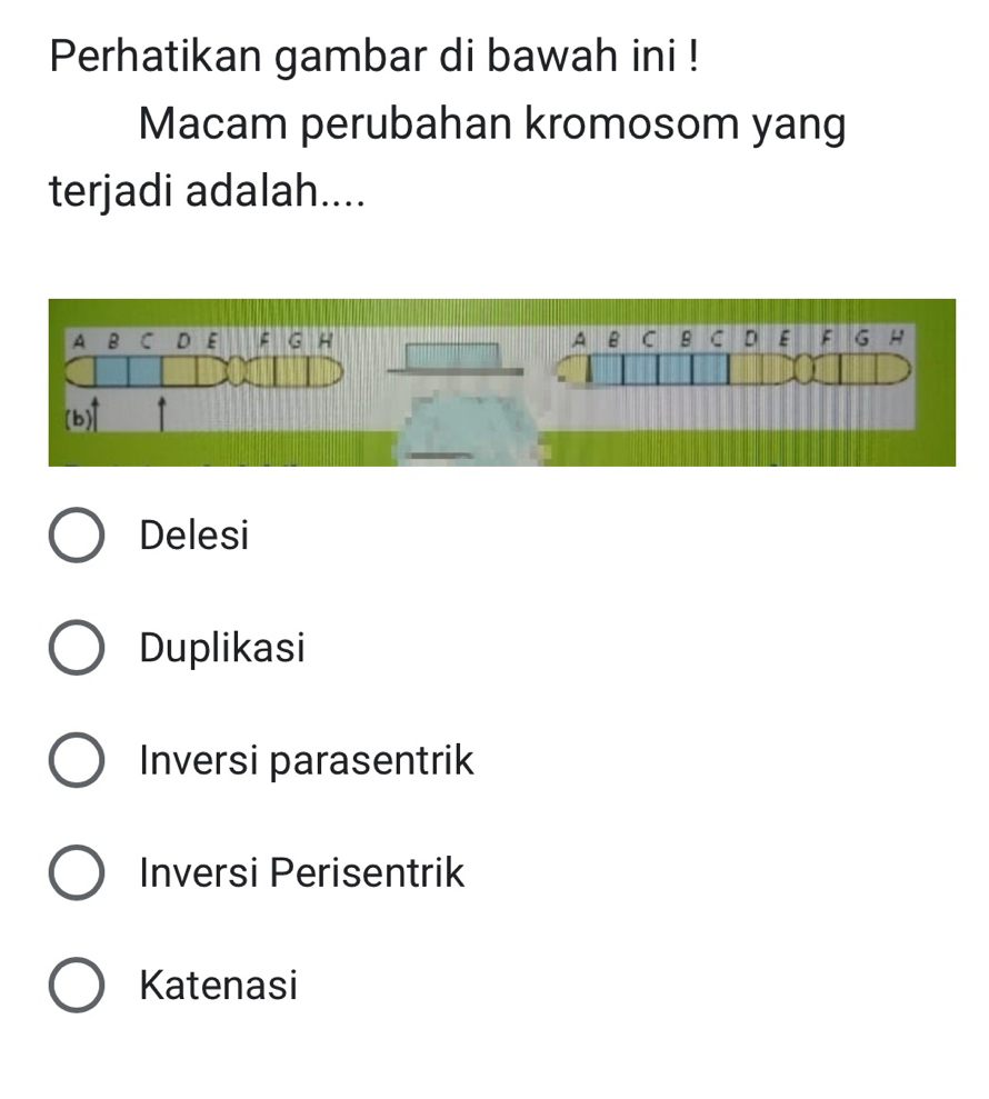 Perhatikan gambar di bawah ini !
Macam perubahan kromosom yang
terjadi adalah....
Delesi
Duplikasi
Inversi parasentrik
Inversi Perisentrik
Katenasi