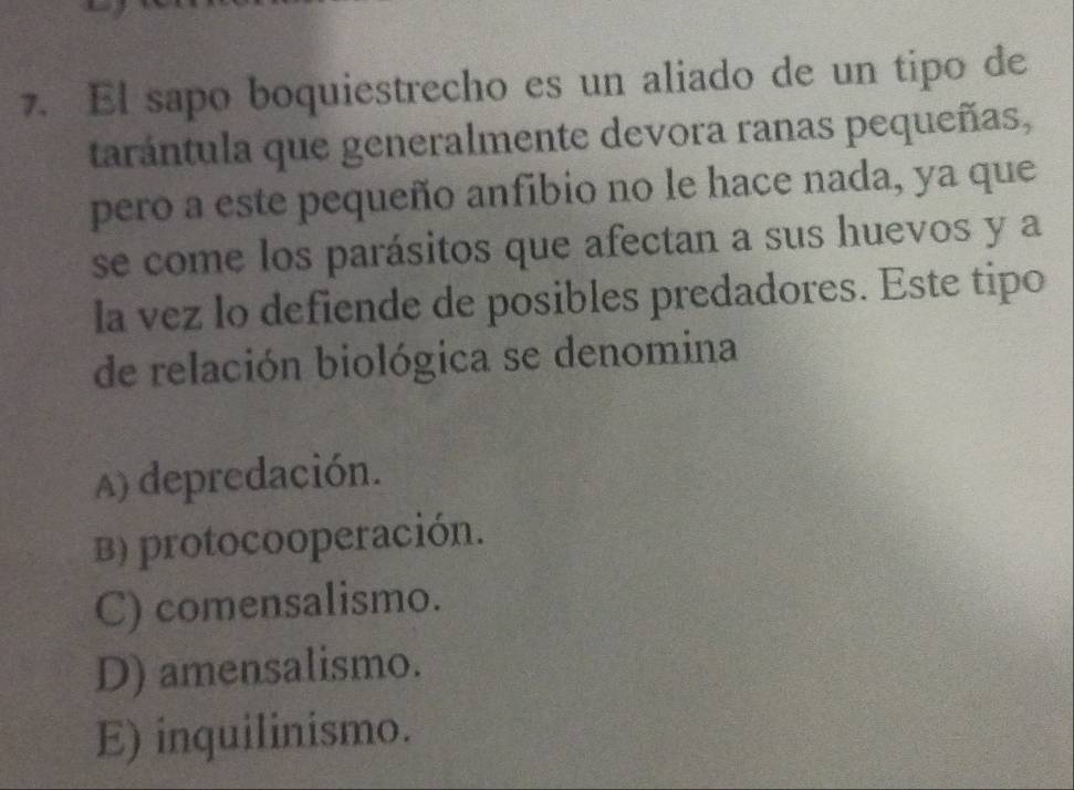 El sapo boquiestrecho es un aliado de un tipo de
tarántula que generalmente devora ranas pequeñas,
pero a este pequeño anfibio no le hace nada, ya que
se come los parásitos que afectan a sus huevos y a
la vez lo defiende de posibles predadores. Este tipo
de relación biológica se denomina
A) depredación.
B) protocooperación.
C) comensalismo.
D) amensalismo.
E) inquilinismo.