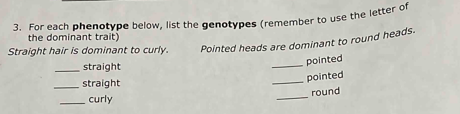 For each phenotype below, list the genotypes (remember to use the letter of 
the dominant trait) 
Straight hair is dominant to curly. Pointed heads are dominant to round heads. 
_straight 
_pointed 
_pointed 
_straight 
_ 
round 
_curly