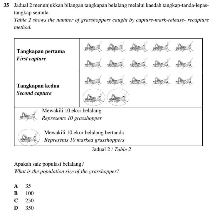 Jadual 2 menunjukkan bilangan tangkapan belalang melalui kaedah tangkap-tanda-lepas-
tangkap semula.
Table 2 shows the number of grasshoppers caught by capture-mark-release- recapture
method.
Apakah saiz populasi belalang?
What is the population size of the grasshopper?
A 35
B 100
C 250
D 350