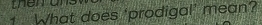 thei d 
1 What does 'prodigal' mean?