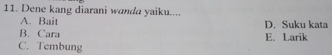 Dene kang diarani wanda yaiku....
A. Bait D. Suku kata
B. Cara E. Larik
C. Tembung