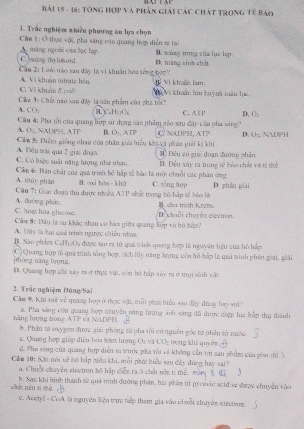 16: TônG hợp và phân giải các chát tronG tế bảo
1. Trắc nghiệm nhiều phương án lựa chọn
Câu 1: Ở thực vật, pha sáng của quang hợp diễn ra tại
A. màng ngoài của lục lạp. B. màng trong của lục lạp.
C. mång thylakoid. D. màng sinh chất.
Cầu 2: Loài nào sau đây là vi khuẩn hóa tổng hợp?
A. Vi khuẩn nitrate hóa. Bỉ Vi khuẩn lam.
C. Vi khuẩn E.coli. V Vi khuẩn lưu huỳnh màu lục,
Câu 3: Chất nào sau đây là sản phẩm của pha tổi?
B. C_6H_12O_6
A. CO_2 C. ATP D. O_2
Câu 4: Pha tối của quang hợp sử dụng sản phẩm nào sau đây của pha sáng?
A. O_2. NADPH, ATP B. O_2, ATP C NADPH, ATP D. O_2. NADPH
Câu 5: Điểm giống nhau của phân giải hiểu khí và phân giải kị khí
A. Đều trải qua 2 giai đoạn. B) Đều có giai đoạn đường phân
C. Có hiệu suất năng lượng như nhau. D. Đều xảy ra trong tể bào chất và tỉ thể.
Câu 6: Bản chất của quá trình hô hấp tế bào là một chuỗi các phản ứng
A. thủy phân B. oxi hóa - khử C. tổng hợp D. phân giải
Câu 7: Giai đoạn thu được nhiều ATP nhất trong hô hấp tế bào là
A. đường phân. B. chu trình Krebs.
C. hoạt hóa glucose. D. chuỗi chuyển electron.
Câu 8: Đâu là sự khác nhau cơ bán giữa quang hợp và hô hấp?
A. Đây là hai quá trình ngược chiều nhau.
B. Sân phẩm C_6H_12O_6 được tạo ra từ quá trình quang hợp là nguyên liệu của hô hấp
C)Quang hợp là quá trình tổng hợp, tích lũy năng lượng còn hô hắp là quá trình phân giải, giải
phóng năng lượng.
D. Quang hợp chỉ xảy ra ở thực vật, còn hô hấp xảy ra ở mọi sinh vật.
2. Trắc nghiệm Đúng/Sai
Câu 9. Khi nói về quang hợp ở thực vật, mồi phát biểu sau đây đúng hay sai?
a. Pha sáng của quang hợp chuyển năng lượng ánh sáng đã được diệp lục hấp thụ thành
năng lượng trong ATP và NADPH.
b. Phân tử oxygen được giải phóng từ pha tối có nguồn gốc từ phân từ nước.
c. Quang hợp giúp điều hòa hàm lượng O_2 và CO_2 trong khí quyển.
d. Pha sáng của quang hợp diễn ra trước pha tổi và không cần tới sản phẩm của pha tồi.
Câu 10: Khi nói về hô hấp hiếu khí, mỗi phát biểu sau đây đúng hay sai?
a. Chuỗi chuyền electron hô hấp diễn ra ở chất nền ti t hhat e
b. Sau khi hình thành từ quá trình đường phân, hai phân tử pyruvic acid sẽ được chuyền vào
chất nền tỉ thể.
c. Acetyl - CoA là nguyên liệu trực tiếp tham gia vào chuỗi chuyền electron.