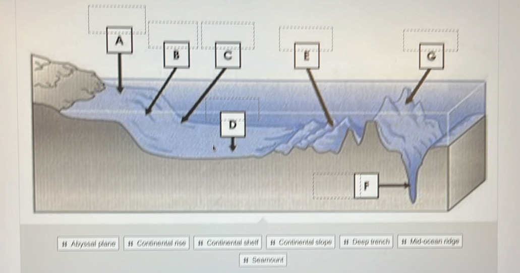 A 
B C 
D 
F 
# Abyssal plane * Continental rise $ Continental shelf * Continental slope # Deep trench * Mid-ocean ridge 
# Seamount