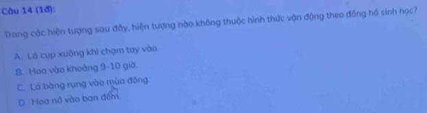 (1đ):
Trong các hiện tượng sau đây, hiện tượng nào không thuộc hình thức vận động theo đồng hồ sinh học?
A. Lá cụp xuông khi chạm tay vào,
B. Hoa vào khoảng 9-10 giờ.
C. Lá bàng rụng vào mùa đông.
D. Hoa nở vào ban đếm.