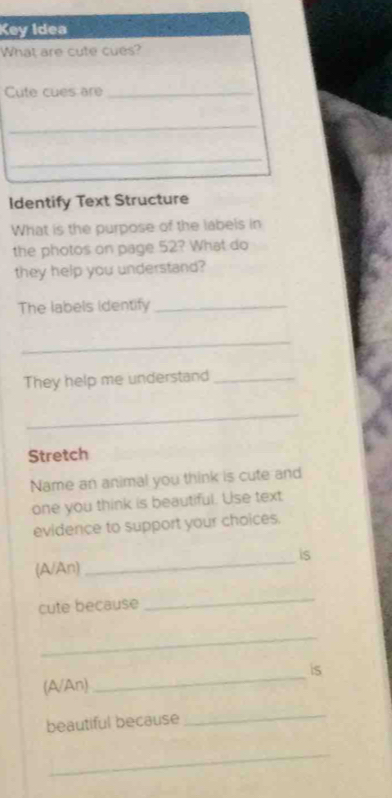 Key Idea 
What are cute cues? 
Cute cues are_ 
_ 
_ 
Identify Text Structure 
What is the purpose of the labels in 
the photos on page 52? What do 
they help you understand? 
The labels identify_ 
_ 
They help me understand_ 
_ 
Stretch 
Name an animal you think is cute and 
one you think is beautiful. Use text 
evidence to support your choices. 
(A/An) _is 
cute because 
_ 
_ 
_ 
is 
(A/An) 
beautiful because 
_ 
_