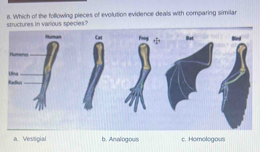 Which of the following pieces of evolution evidence deals with comparing similar
structures in various species?
Human Cat Frog Bat Bird
Humerus_
Ulna_
Radius_
a. Vestigial b. Analogous c. Homologous