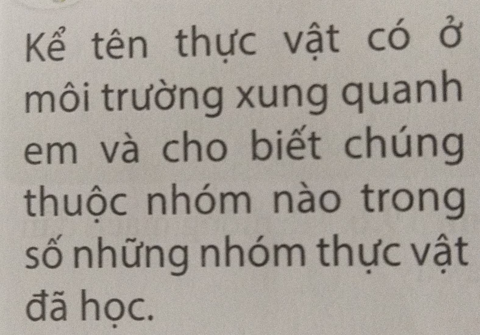 Kể tên thực vật có ở 
môi trường xung quanh 
em và cho biết chúng 
thuộc nhóm nào trong 
số những nhóm thực vật 
đã học.