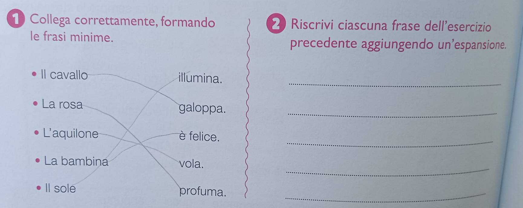 Collega correttamente, formando 2 Riscrivi ciascuna frase dell’esercizio 
le frasi minime. 
precedente aggiungendo un’espansione. 
_ 
_ 
_ 
_ 
_