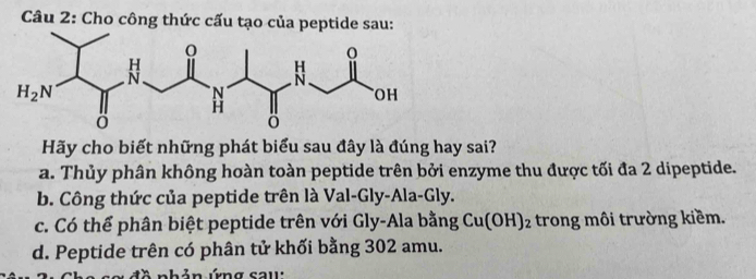 Cho công thức cấu tạo của peptide sau:
Hãy cho biết những phát biểu sau đây là đúng hay sai?
a. Thủy phân không hoàn toàn peptide trên bởi enzyme thu được tối đa 2 dipeptide.
b. Công thức của peptide trên là Val-Gly-Ala-Gly.
c. Có thể phân biệt peptide trên với Gly-Ala bằng Cu(OH)_2 trong môi trường kiềm.
d. Peptide trên có phân tử khối bằng 302 amu.
bản ứng caw