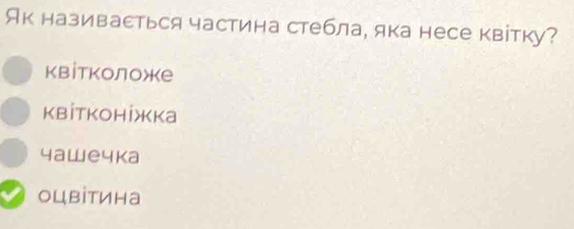 Як називасться частина стебла, яка несе квітку?
квітколоже
KвİтKонİжkа
4аwечkа
оцвітина