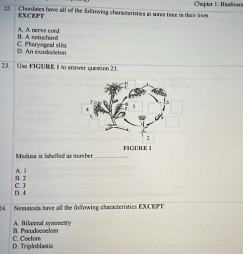 Chapter I: Biodivers
22. Chordates have all of the following characteristics at some time in their lives
EXCEPT
A. A nerve cord
B. A notochord
C. Pharyngeal slits
D. An exoskeleton
23. Use FIGURE 1 to answer question 23.
Medusa is labelled as number_
A. I
B. 2
C. 3
D. 4
24. Nematoda have all the following characteristics EXCEPT:
A. Bilateral symmetry
B. Pseudocoelom
C. Coelom
D. Triploblastic