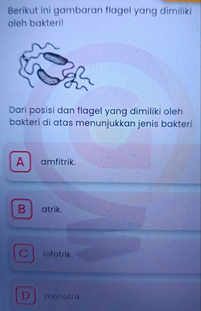 Berikut ini gambaran flagel yang dimiliki
oleh bakteri!
Dari posisi dan flagel yang dimiliki oleh
bakteri di atas menunjukkan jenis bakteri
A amfitrik.
B atrik.
C lofotrik.
D monotrik.