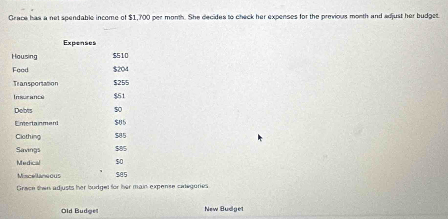 Grace has a net spendable income of $1,700 per month. She decides to check her expenses for the previous month and adjust her budget. 
Expenses 
Housing $510
Food $204
Transportation $255
Insurance $51
Debts $o
Entertainment $85
Clothing $85
Savings $85
Medical $o
Miscellaneous $85
Grace then adjusts her budget for her main expense categories 
Old Budget New Budget