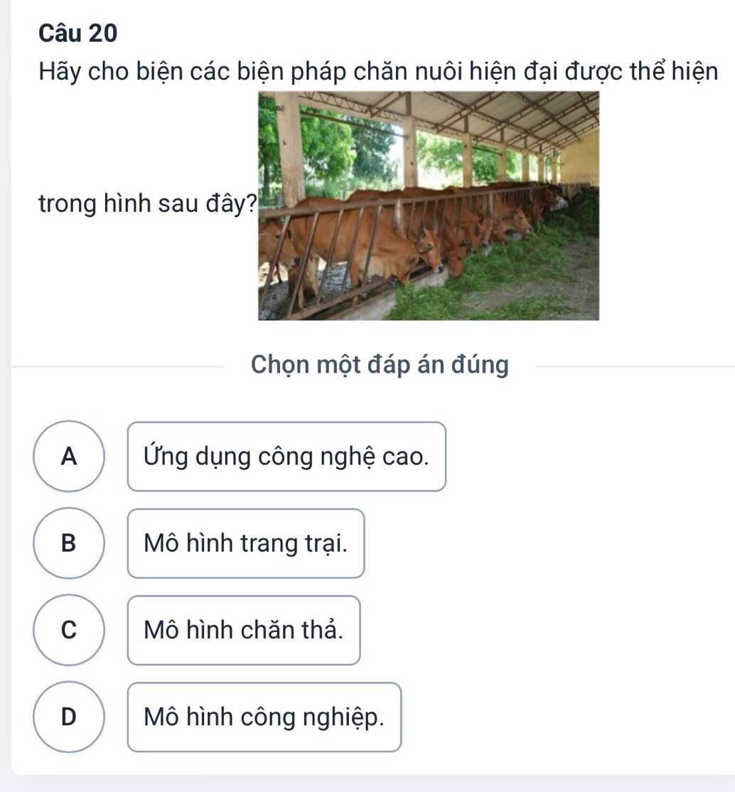 Hãy cho biện các biện pháp chăn nuôi hiện đại được thể hiện
trong hình sau đâ
Chọn một đáp án đúng
A Ứng dụng công nghệ cao.
B Mô hình trang trại.
C Mô hình chăn thả.
D Mô hình công nghiệp.