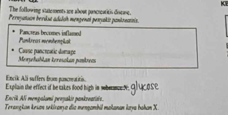 KE 
The following statements are about pancreatitis disease, 
Pernyatuan berikut adalah mengenal penyakit pankreatitis. 
Pancreas becomes inflamed 
Pankreas membenşkak 
Cause paneratic damage 
Menyehobłan kerosakan pankreas 
Encik Ali suffers from pancreatitis. 
Explain the effect if he takes food high in 
Encik Ali mengalami penyakit pankreatítis. 
Terangkan kesan sekiranya dia mengambil makanan kaya bahan X.