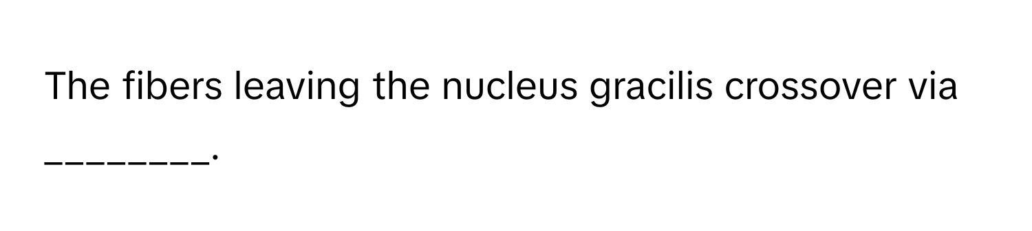 The fibers leaving the nucleus gracilis crossover via ________.