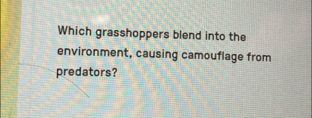 Which grasshoppers blend into the 
environment, causing camouflage from 
predators?