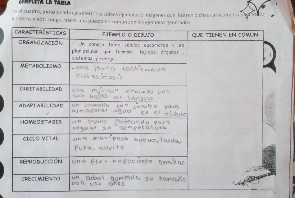 compLETa La TABLa 
En el cuadro, junto a cada característica coloca ejemplos o imágenes que ilustren dichas características en todos 
los seres vivos. Luego, hacer una p