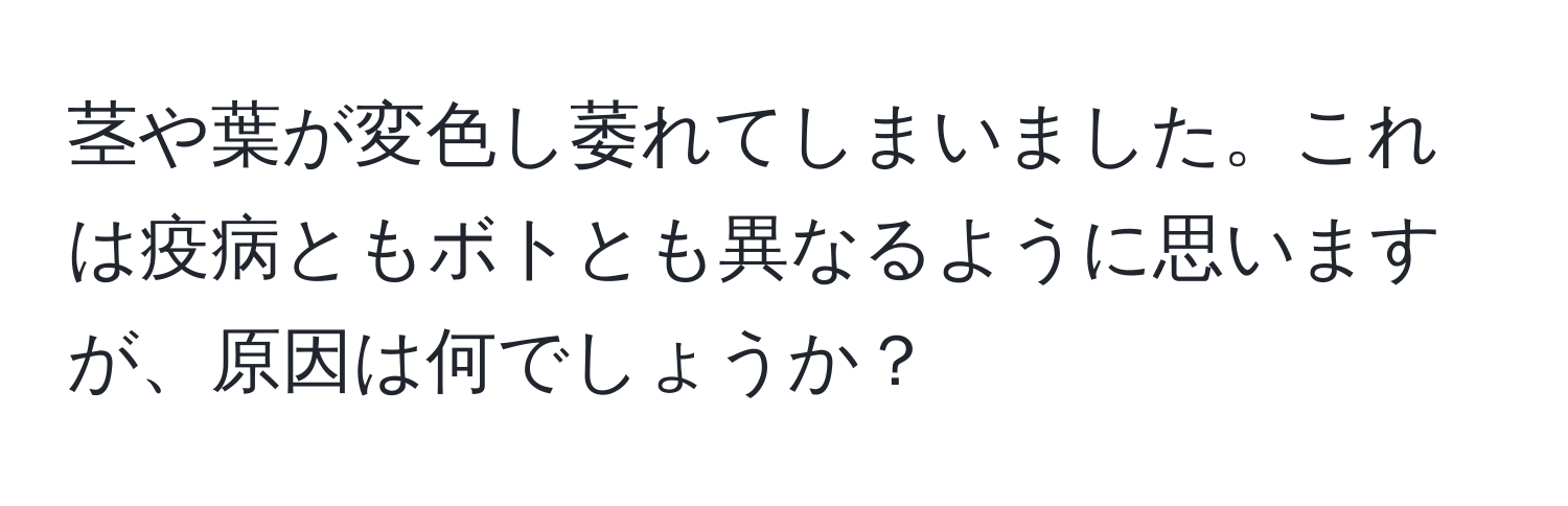 茎や葉が変色し萎れてしまいました。これは疫病ともボトとも異なるように思いますが、原因は何でしょうか？