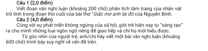 (2,0 điểm) 
Viết đoạn văn nghị luận (khoảng 200 chữ) phân tích tâm trạng của nhân vật 
trữ tình trong đoạn thơ cuối của bài thơ "Giấc mơ anh lái đò của Nguyễn Bính. 
Câu 2 (4,0 điểm) 
Cùng với sự phát triển không ngừng của xã hội, giới trẻ hiện nay tự ''sáng tạo'' 
ra cho mình những loại ngôn ngữ riêng để giao tiếp và chỉ họ mới hiểu được. 
Từ góc nhìn của người trẻ, anh/chị hãy viết một bài văn nghị luận (khoảng
600 chữ) trình bày suy nghĩ về vấn đề trên.