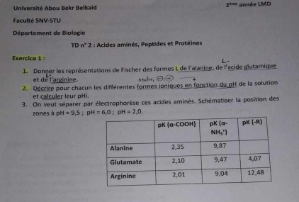 Université Abou Bekr Belkaid 2^(the) année LMD
Faculté SNV-STU
Département de Biologie
TC n°2 : Acides aminés, Peptides et Protéines
Exercice 1 :   
1. Donner les représentations de Fischer des formes L de l'alanine, de l'acide glutamique
et de l'arginine. n oucthe,' Theta .C
2. Décrire pour chacun les différentes formes ioniques en fonction du pH de la solution
et calculer leur pHi.
3. On veut séparer par électrophorèse ces acides aminés. Schématiser la position des
zones à pH=9,5;pH=6,0;pH=2,0.