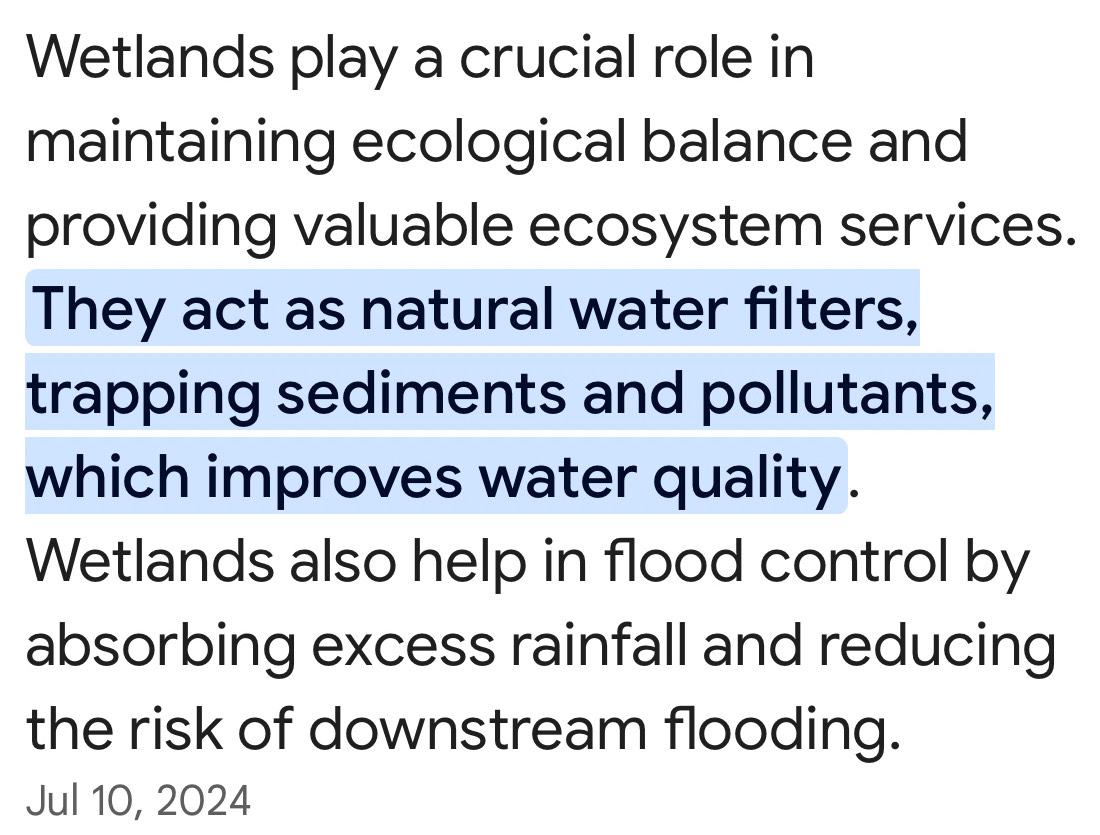 Wetlands play a crucial role in 
maintaining ecological balance and 
providing valuable ecosystem services. 
They act as natural water filters, 
trapping sediments and pollutants, 
which improves water quality. 
Wetlands also help in flood control by 
absorbing excess rainfall and reducing 
the risk of downstream flooding. 
Jul 10, 2024