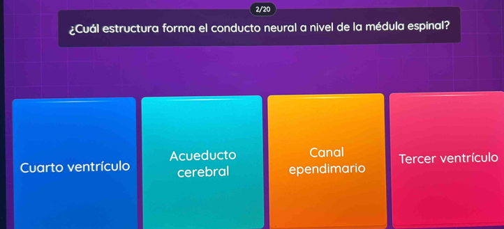 2/20
¿Cuál estructura forma el conducto neural a nivel de la médula espinal?
Acueducto Canal
Cuarto ventrículo cerebral ependimario Tercer ventrículo