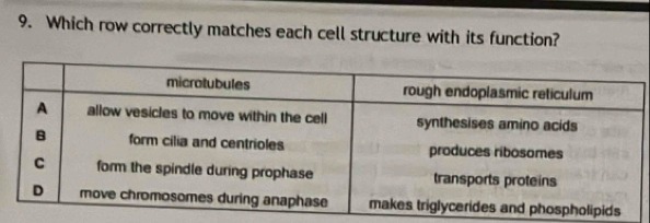 Which row correctly matches each cell structure with its function?