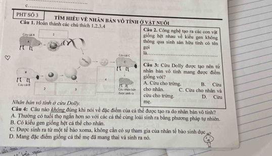 PHT SÔ 3 TỉM hiệU vẻ nhân bản vô tính ở vật nuôi
Câu 1. Hoàn thành các chủ thích Câu 2. Công nghệ tạo ra các con vật
giống hệt nhau về kiểu gen không
thông qua sinh sản hữu tính có tên
gọi
là._
_
Câu 3: Cừu Dolly được tạo nên tử
nhân bản vô tính mang được điểm
giống với?
A. Cừu cho trứng.
cho nhân. C. Cừu cho nhân và B. Cừu
cừu cho trứng. D. Cừu
Nhân bản vô tỉnh ở cừu Dolly. mç.
Câu 4: Câu nào không đúng khi nói về đặc điểm của cá thể được tạo ra do nhân bản vô tính?
A. Thường có tuổi thọ ngắn hơn so với các cá thể cùng loài sinh ra bằng phương pháp tự nhiên.
B. Có kiểu gen giống hệt cá thể cho nhân.
C. Được sinh ra từ một tế bào xoma, không cần có sự tham gia của nhân tế bào sinh dục
D. Mang đặc điểm giống cá thể mẹ đã mang thai và sinh ra nó.