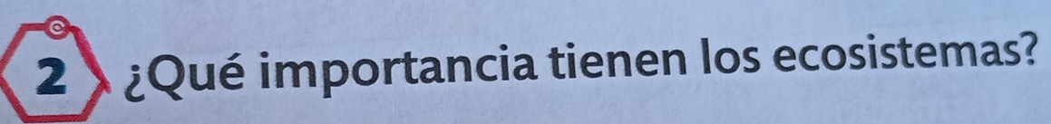 2 ) ¿Qué importancia tienen los ecosistemas?