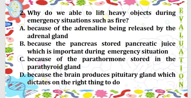 Why do we able to lift heavy objects during
emergency situations such as fire?
A. because of the adrenaline being released by the
adrenal gland
B. because the pancreas stored pancreatic juice
which is important during emergency situation
C. because of the parathormone stored in the
parathyroid gland
D. because the brain produces pituitary gland which
dictates on the right thing to do