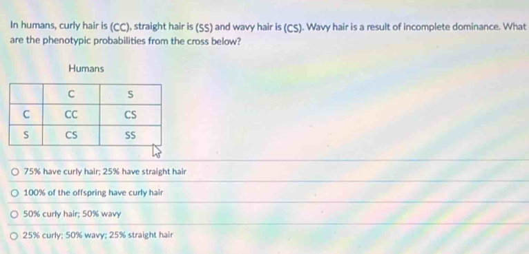 In humans, curly hair is (CC), straight hair is (SS) and wavy hair is (CS). Wavy hair is a result of incomplete dominance. What
are the phenotypic probabilities from the cross below?
Humans
75% have curly hair; 25% have straight hair
100% of the offspring have curly hair
50% curly hair; 50% wavy
25% curly; 50% wavy; 25% straight hair