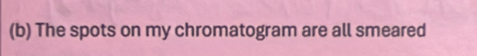 The spots on my chromatogram are all smeared