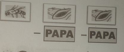 PAPA PAPA