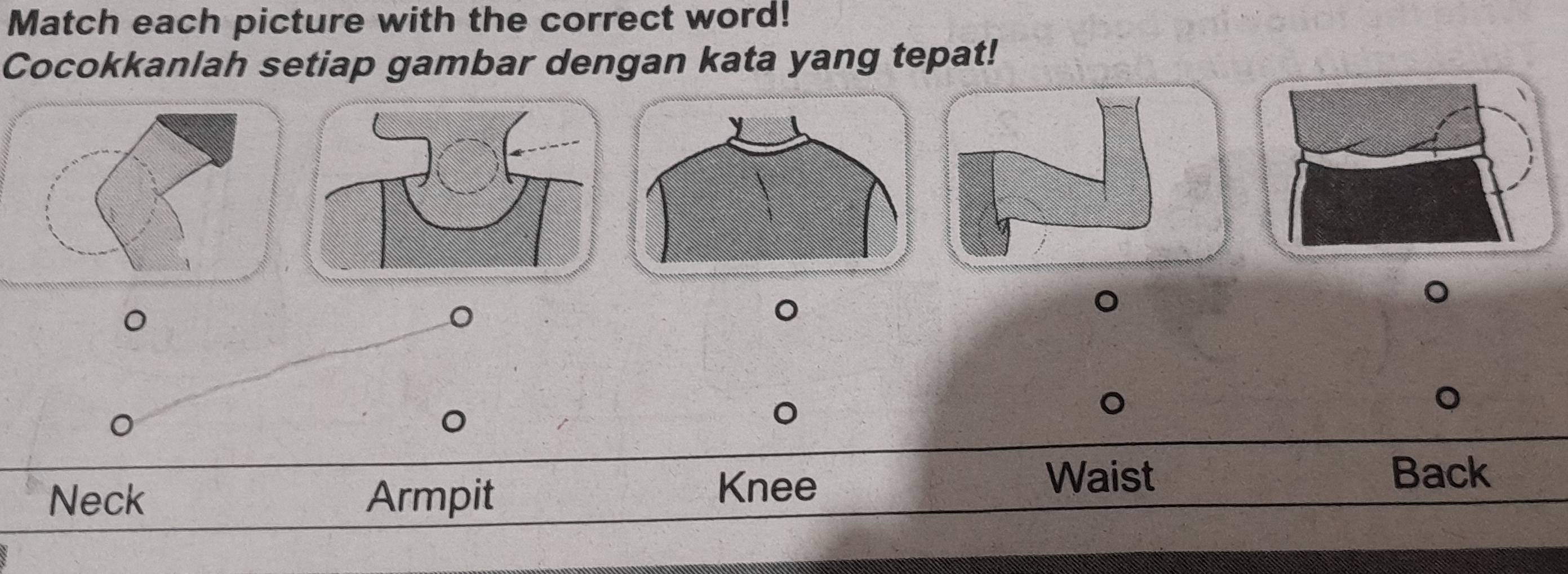 Match each picture with the correct word! 
Cocokkanlah setiap gambar dengan kata yang tepat! 
。 
。 
。 
。 
Waist Back 
Neck Armpit 
Knee