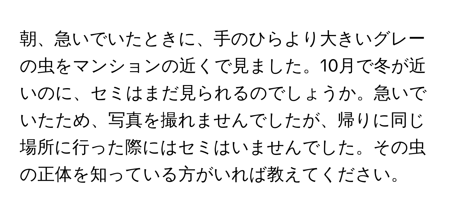 朝、急いでいたときに、手のひらより大きいグレーの虫をマンションの近くで見ました。10月で冬が近いのに、セミはまだ見られるのでしょうか。急いでいたため、写真を撮れませんでしたが、帰りに同じ場所に行った際にはセミはいませんでした。その虫の正体を知っている方がいれば教えてください。