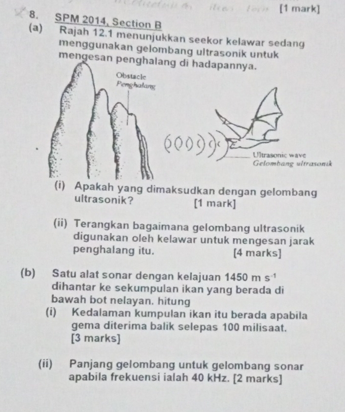 SPM 2014, Section B 
(a) Rajah 12.1 menunjukkan seekor kelawar sedang 
menggunakan gelombang ultrasonik untuk 
mengesan 
(i) Apakah yang dimaksudkan dengan gelombang 
ultrasonik? [1 mark] 
(ii) Terangkan bagaimana gelombang ultrasonik 
digunakan oleh kelawar untuk mengesan jarak 
penghalang itu. [4 marks] 
(b) Satu alat sonar dengan kelajuan 1450ms^(-1)
dihantar ke sekumpulan ikan yang berada di 
bawah bot nelayan. hitung 
(i) Kedalaman kumpulan ikan itu berada apabila 
gema diterima balik selepas 100 milisaat. 
[3 marks] 
(ii) Panjang gelombang untuk gelombang sonar 
apabila frekuensi ialah 40 kHz. [2 marks]