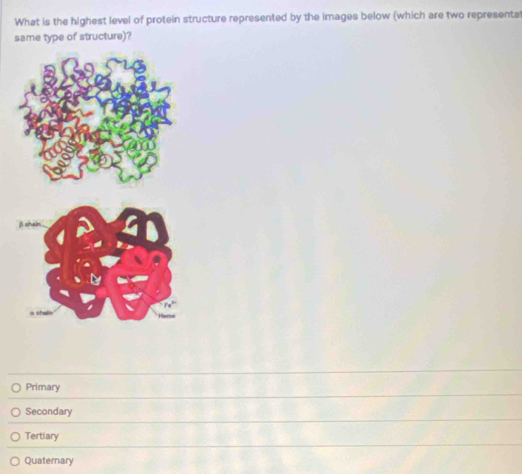 What is the highest level of protein structure represented by the images below (which are two representat
same type of structure)?
Primary
Secondary
Tertiary
Quaternary