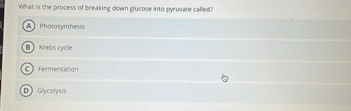 What is the process of breaking down glucose into pyruvate called?
A Photosynthesis
B Krebs cycle
C Fermentation
D Glycolysis