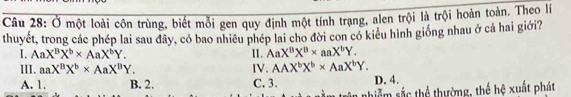 Ở một loài côn trùng, biết mỗi gen quy định một tính trạng, alen trội là trội hoàn toàn. Theo lí
thuyết, trong các phép lai sau đây, có bao nhiêu phép lai cho đời con có kiểu hình giống nhau ở cả hai giới?
I. AaX^BX^b* AaX^bY. II. AaX^BX^B* aaX^bY. 
III. aaX^BX^b* AaX^BY. IV. AAX^bX^b* AaX^bY.
A. 1. B. 2. C. 3. D. 4.
nhiễm sắc thể thường, thể hệ xuất phát