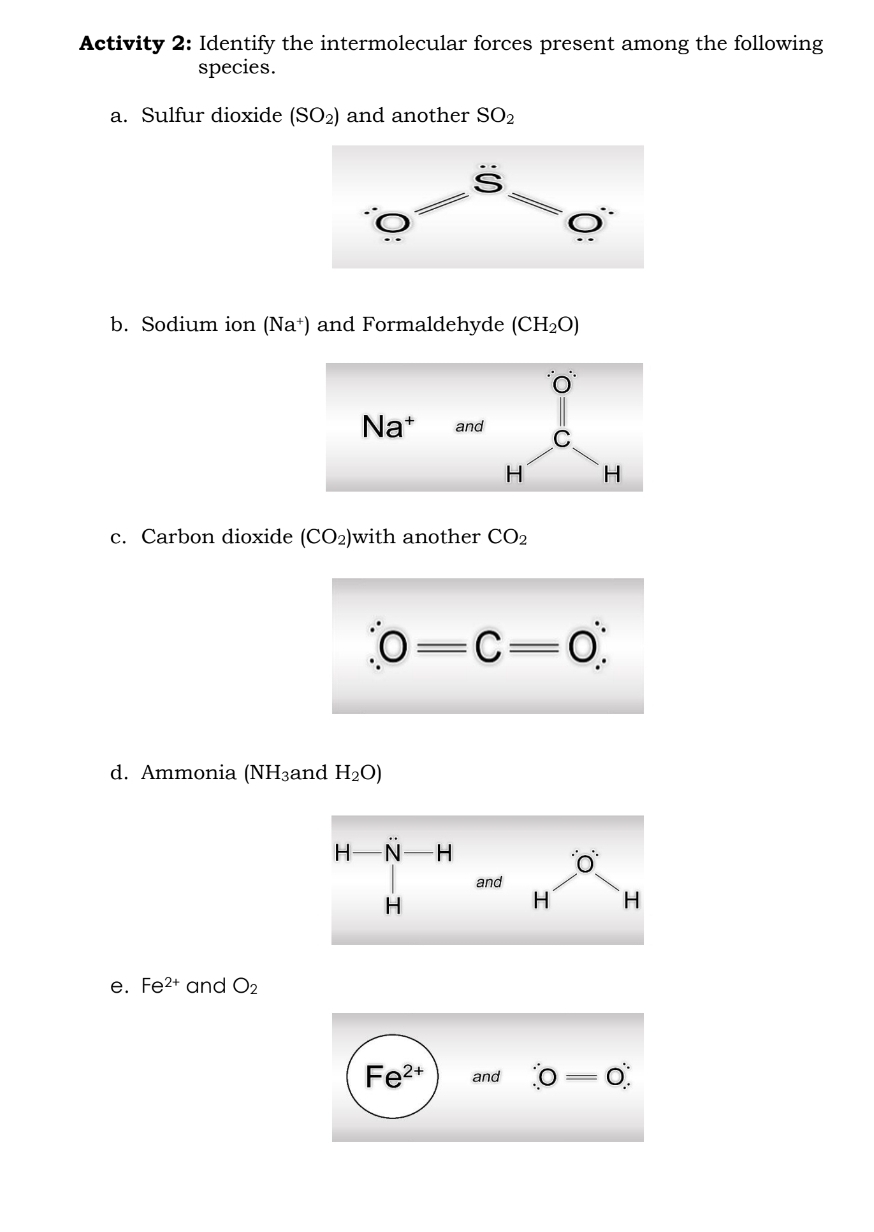 Activity 2: Identify the intermolecular forces present among the following
species.
a. Sulfur dioxide (SO_2) and another SO_2
b. Sodium ion (Na^+) and Formaldehyde (CH_2O)
c. Carbon dioxide (CO_2) with another CO_2
d. Ammonia (NH_3 and H_2O)
e. Fe^(2+) and O_2
Fe^(2+) and dot o=0