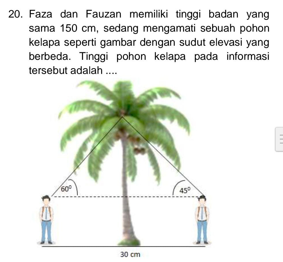 Faza dan Fauzan memiliki tinggi badan yang
sama 150 cm, sedang mengamati sebuah pohon
kelapa seperti gambar dengan sudut elevasi yang
berbeda. Tinggi pohon kelapa pada informasi
tersebut adalah ....