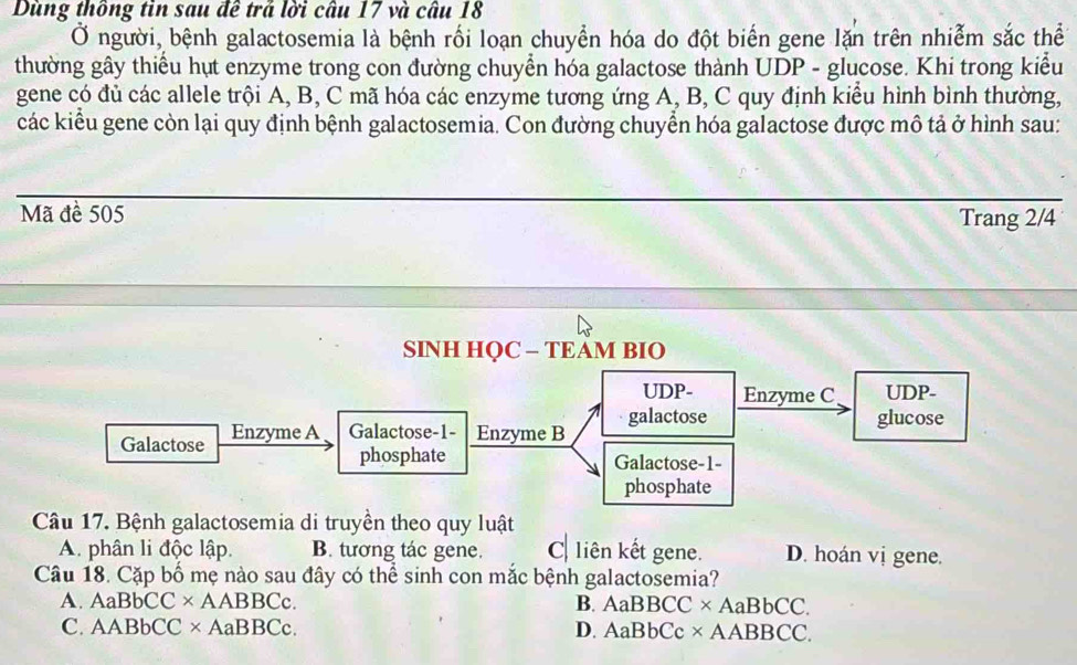 Dùng thông tin sau đề trá lời câu 17 và câu 18
Ở người, bệnh galactosemia là bệnh rối loạn chuyển hóa do đột biển gene lặn trên nhiễm sắc thể
thường gây thiểu hụt enzyme trong con đường chuyển hóa galactose thành UDP - glucose. Khi trong kiểu
gene có đủ các allele trội A, B, C mã hóa các enzyme tương ứng A, B, C quy định kiểu hình bình thường,
các kiểu gene còn lại quy định bệnh galactosemia. Con đường chuyển hóa galactose được mô tả ở hình sau:
Mã đề 505
Trang 2/4
SINH HQC - TEAM BIO
UDP- Enzyme C UDP-
galactose
Galactose Enzyme A Galactose- 1 - Enzyme B glucose
phosphate Galactose- 1 -
phosphate
Câu 17. Bệnh galactosemia di truyền theo quy luật
A. phân li độc lập. B. tương tác gene. C liên kết gene. D. hoán vị gene.
Câu 18. Cặp bố mẹ nào sau đây có thể sinh con mắc bệnh galactosemia?
A. AaBbCC × AABBCc. B. AaBBCC × AaBbCC.
C. AABbCC × AaBBCc. D. AaBbCc × AABBCC.