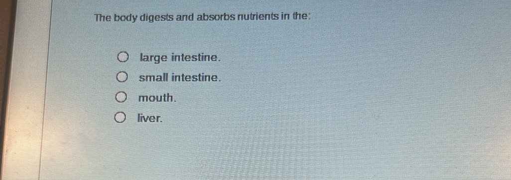 The body digests and absorbs nutrients in the:
large intestine.
small intestine.
mouth.
liver.