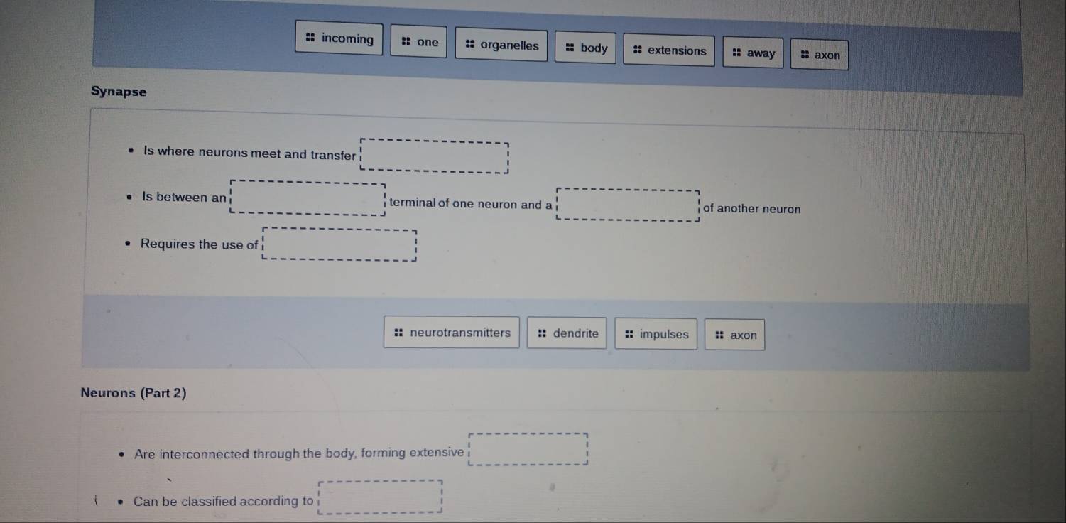 incoming :: one :: organelles :: body :: extensions :: away :: axon
Synapse
Is where neurons meet and transfer
Is between an terminal of one neuron and a of another neuron
Requires the use of
: neurotransmitters ::dendrite : impulses : axon
Neurons (Part 2)
Are interconnected through the body, forming extensive
Can be classified according to