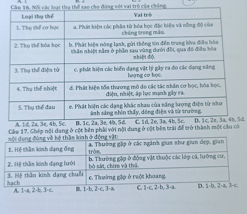 1 B. z
Câu 16. Nối các loại thụ thể sao cho đúng với vai trò của chúng.
5d.
a. Thường gặp ở các ngành giun như gi
1. Hệ thần kinh dạng ống tròn.
2. Hệ thần kinh dạng lưới b. Thường gặp ở động vật thuộc các lớp cá, lưỡng cư,
bò sát, chim và thú.
3. Hệ thần kinh dạng chuỗi c. Thường gặp ở ruột khoang.
hạch
A. 1-a, 2-b, 3 -c. B. 1-b, 2-c, 3 -a. C. 1 -c, 2 -b, 3 -a. D. 1 -b, 2-a, 3 -c.