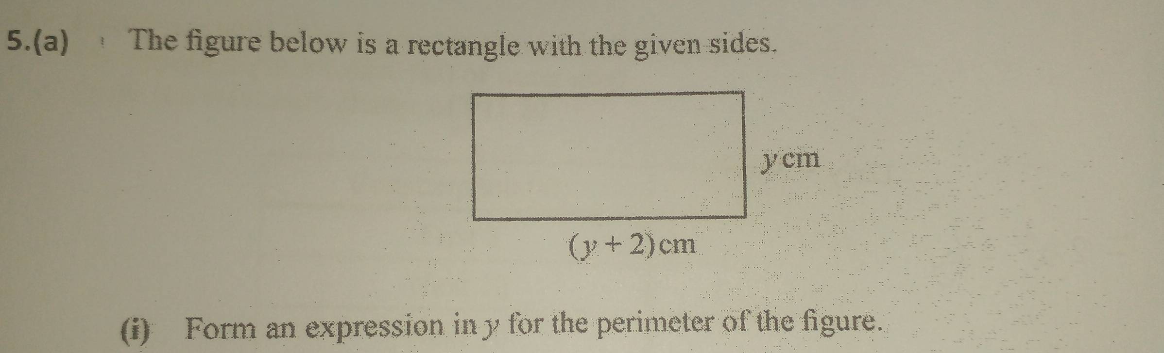 5.(a)  The figure below is a rectangle with the given sides.
(i) Form an expression in y for the perimeter of the figure.