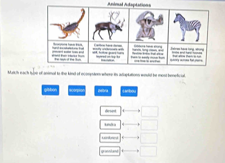 Match each type of animal to the kind of ecosystem where its adaptations would be most beneficial.
gibbon scorpion zebra caribou
desert
lundra
rainforest
grassland C