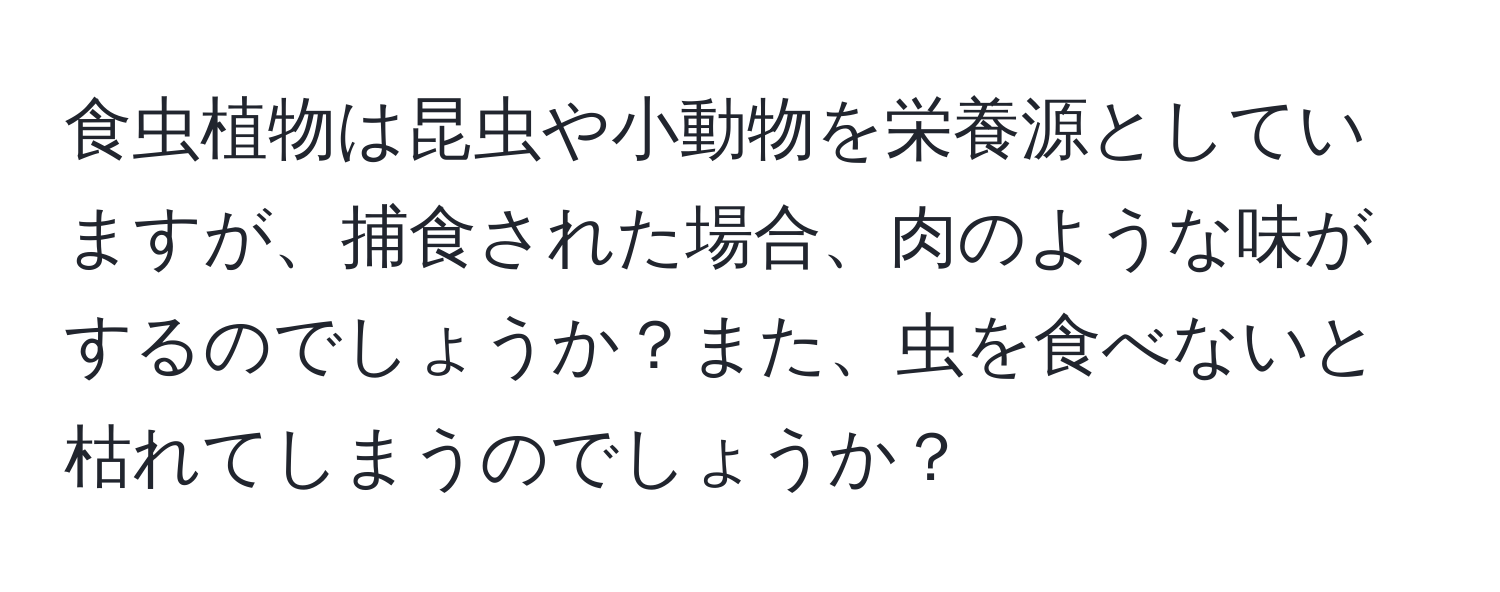 食虫植物は昆虫や小動物を栄養源としていますが、捕食された場合、肉のような味がするのでしょうか？また、虫を食べないと枯れてしまうのでしょうか？